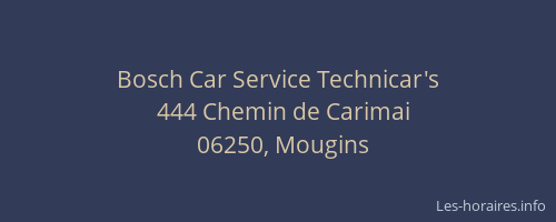 Bosch Car Service Technicar's