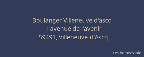 Boulanger Villeneuve d'ascq