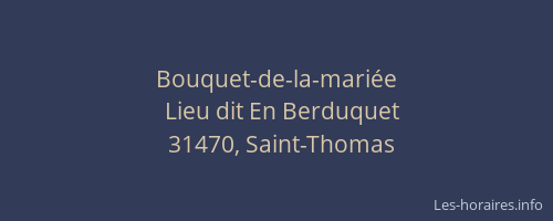 Bouquet-de-la-mariée