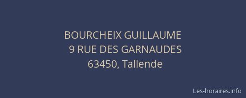 BOURCHEIX GUILLAUME