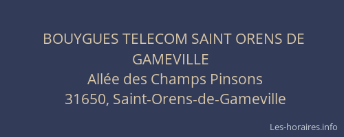 BOUYGUES TELECOM SAINT ORENS DE GAMEVILLE