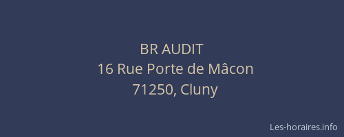 BR AUDIT