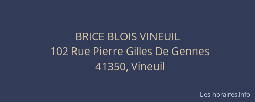 BRICE BLOIS VINEUIL