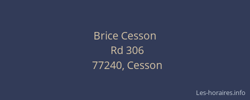 Brice Cesson