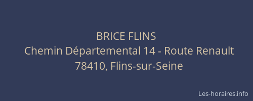 BRICE FLINS