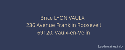 Brice LYON VAULX