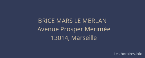 BRICE MARS LE MERLAN