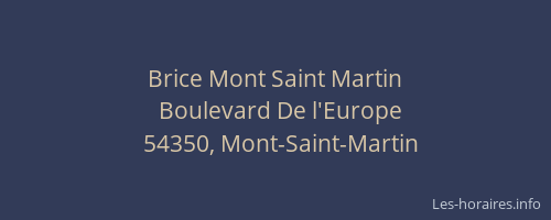 Brice Mont Saint Martin