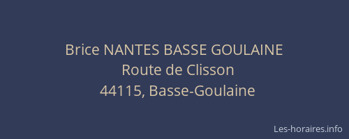 Brice NANTES BASSE GOULAINE