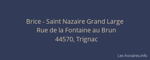 Brice - Saint Nazaire Grand Large