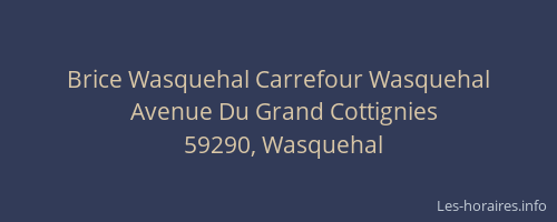Brice Wasquehal Carrefour Wasquehal
