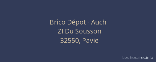 Brico Dépot - Auch
