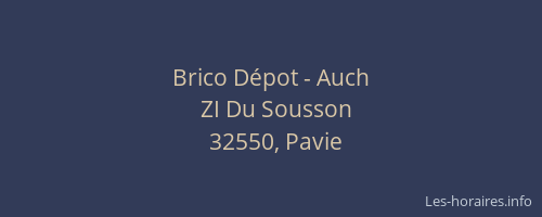 Brico D&eacute;pot - Auch
