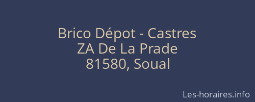 Brico Dépot - Castres