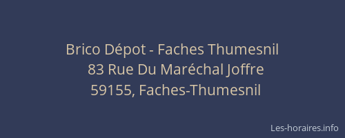 Brico Dépot - Faches Thumesnil