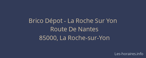 Brico Dépot - La Roche Sur Yon
