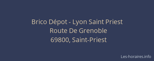 Brico Dépot - Lyon Saint Priest