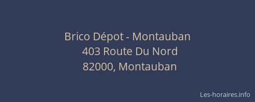 Brico Dépot - Montauban