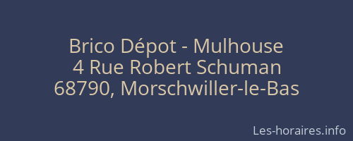 Brico Dépot - Mulhouse