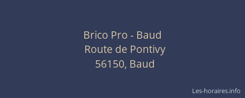 Brico Pro - Baud