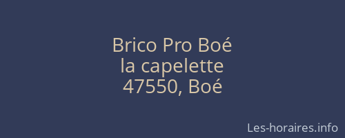 Brico Pro Boé