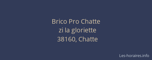 Brico Pro Chatte