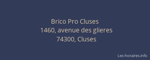 Brico Pro Cluses