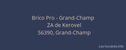 Brico Pro - Grand-Champ