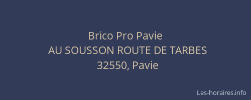 Brico Pro Pavie