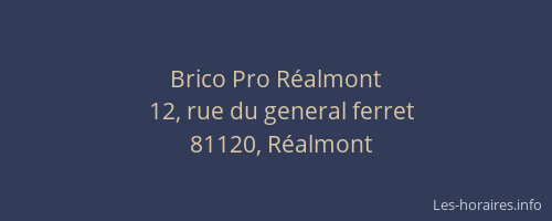 Brico Pro Réalmont