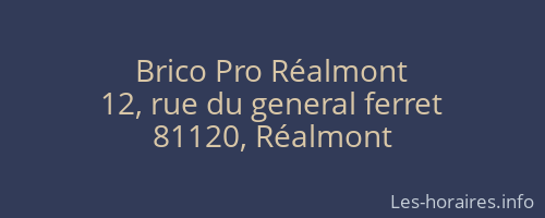 Brico Pro Réalmont