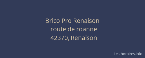Brico Pro Renaison