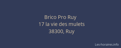Brico Pro Ruy