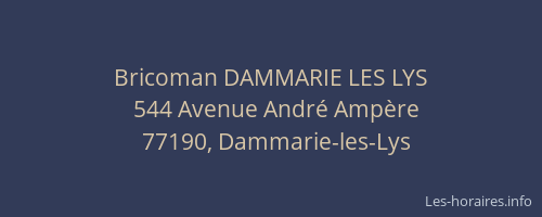 Bricoman DAMMARIE LES LYS