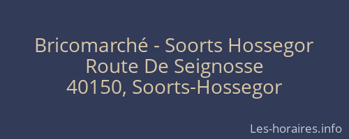 Bricomarché - Soorts Hossegor