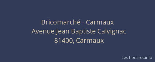 Bricomarch&eacute; - Carmaux