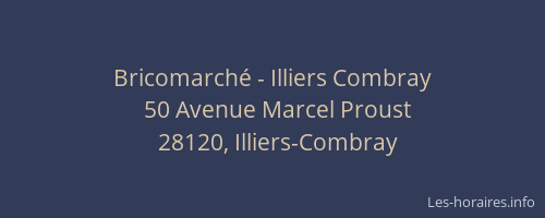 Bricomarch&eacute; - Illiers Combray