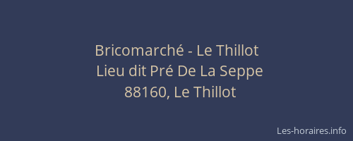 Bricomarch&eacute; - Le Thillot