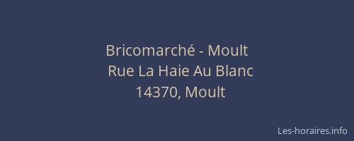 Bricomarch&eacute; - Moult