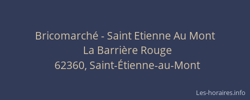 Bricomarch&eacute; - Saint Etienne Au Mont