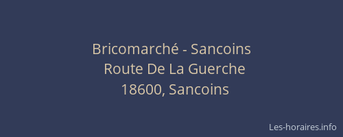 Bricomarch&eacute; - Sancoins