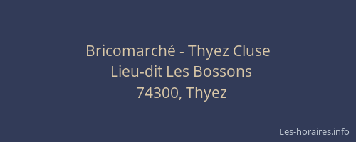 Bricomarch&eacute; - Thyez Cluse
