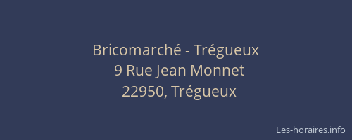 Bricomarch&eacute; - Tr&eacute;gueux