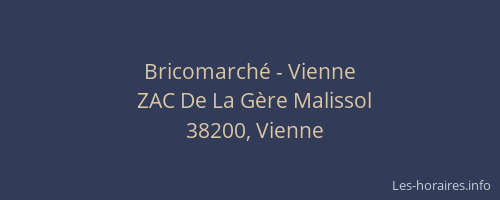 Bricomarch&eacute; - Vienne