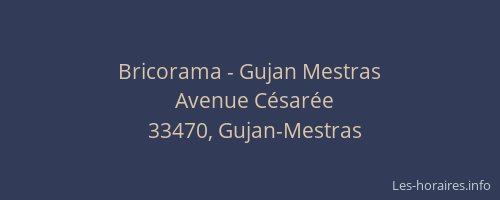 Bricorama - Gujan Mestras
