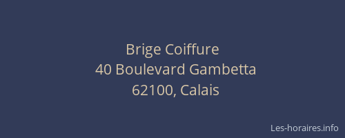 Brige Coiffure