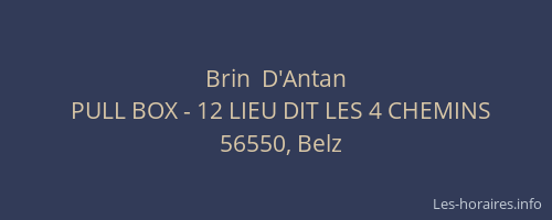 Brin  D'Antan