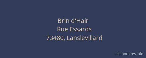 Brin d'Hair