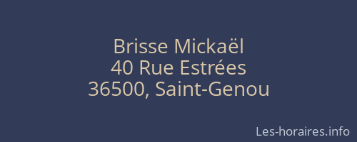 Brisse Mickaël