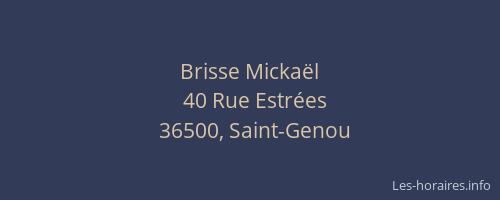 Brisse Micka&euml;l